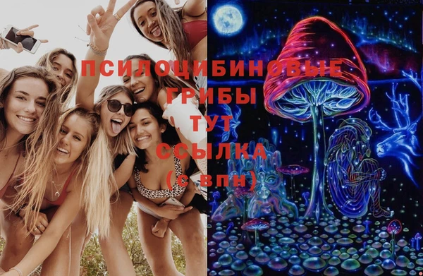 прущая мука Арсеньев