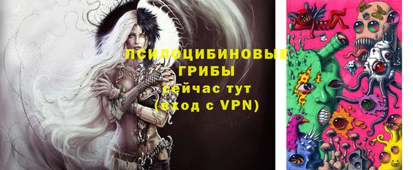 прущая мука Арсеньев